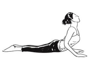 Step 7. Bhujangasana (Cobra pose)